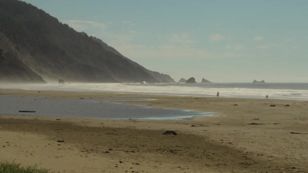 Crescent City Redwood Sandy Beach Northern California United States America — Stockvideo