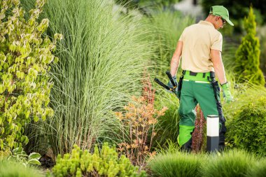 Caucasian Male Landscaper Standing Backwards in the Middle of the Garden with Professional Tools in His Hands - Hedge Shears in the Left Hand and Pruning Shears in the Right Hand.