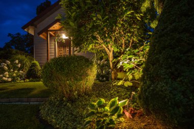 Beautifully Illuminated Backyard of Residential House. Landscape Garden with Ambient Lighting System Installation Highlighting Plants. Wooden Shed in the Background.