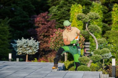 Caucasian Landscape Gardener Shaping Garden Ornamental Tree Using Hand Held Hedge Trimmer. Gardening and Landscaping Professional Tools and Equipment Theme.