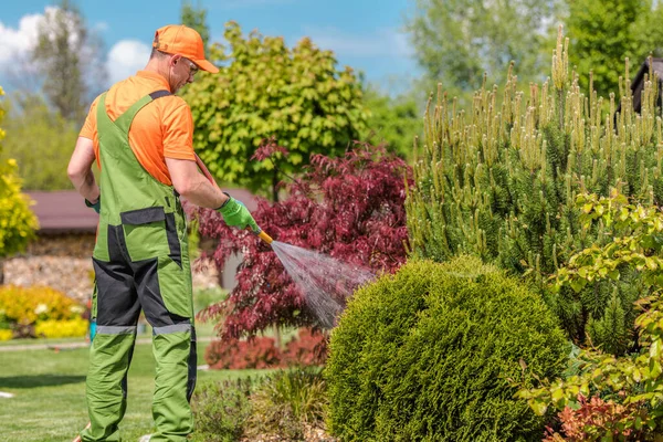 Caucasian Middle Aged Gardener Green Uniform Orange Cap Watering Plants — Foto de Stock