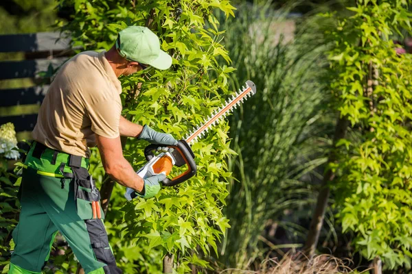 Rear View Photo Caucasian Gardener Trimming Green Plant Use Power — Zdjęcie stockowe