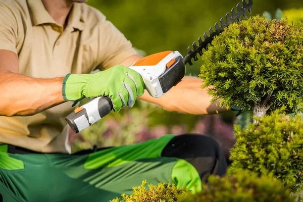 Closeup Caucasian Landscaper Shaping Ornamental Tree Garden Using Small Hand — Photo