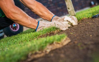 Caucasian Landscaping Worker Arranging Pieces of Natural Grass Turfs Close Up Photo. Landscaping and Gardening Industry Theme.