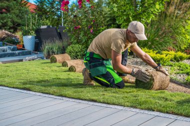 Residential Landscaping Theme. Professional Caucasian Landscaper Installing New Grass Turfs in the Backyard Garden.