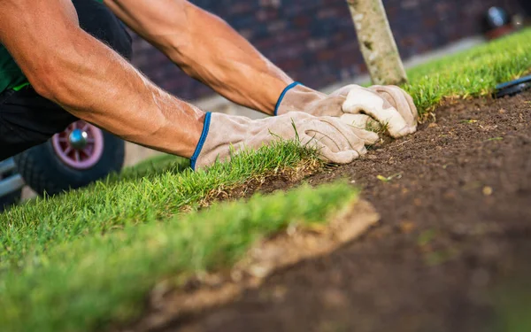 Caucasian Landscaping Worker Arranging Pieces of Natural Grass Turfs Close Up Photo. Landscaping and Gardening Industry Theme.