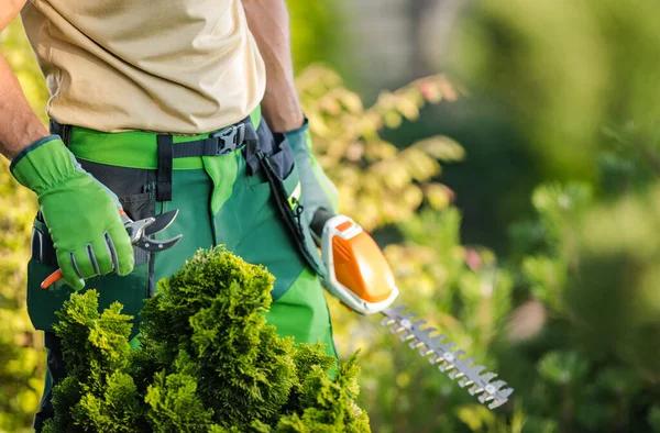 Professional Gardener His Tools His Hands Close Gardening Landscaping Theme — Stock Photo, Image