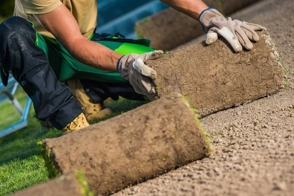 주거용 Natural Turf Grass Installation Performed Caucasian Landscaper Close — 스톡 사진