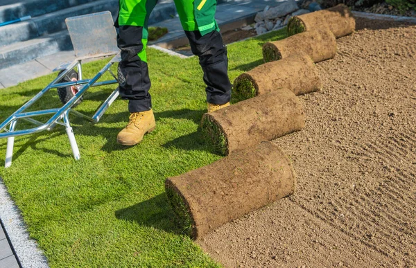 Building New Natural Grass Turfs Lawn Professional Landscaper Installing Fresh — Stock Photo, Image