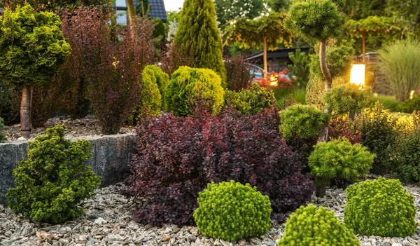 Mature Residential Rockery Garden Illuminated Led Lighting Gardening Landscaping Theme — Stock Photo, Image