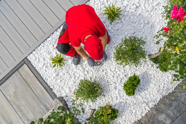 40代の白人プロの造園家が新しく設計された裏庭の庭に現代的な地上Led照明を設置する 住宅用照明 — ストック写真
