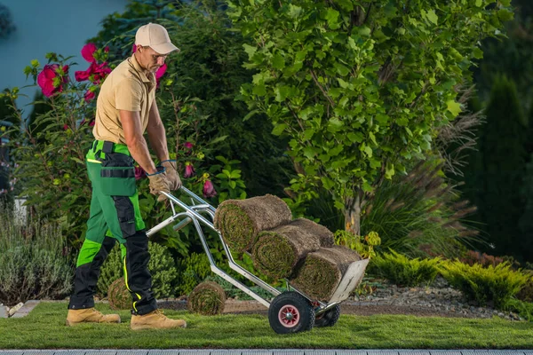 Professional Caucasian Landscaper Moving Natural Grass Turfs Cart Building New — Stock Photo, Image