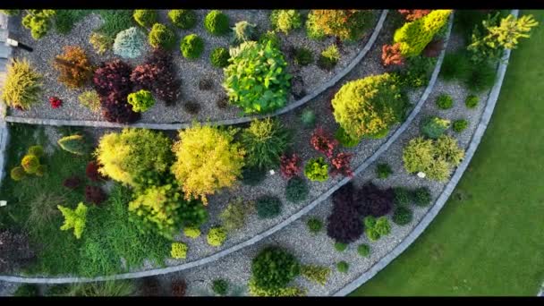 Aerial View Residential Rockery Backyard Garden Landscaping Gardening Industry — Stock video