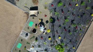 Profesyonel Peyzaj Düzenleyicisinin Hava Fotoğrafı Ot Denetim Fabrikası, Dikme Ağaçları ve Küçük Kayalar Kapak Plağı Residential Garden 'da.