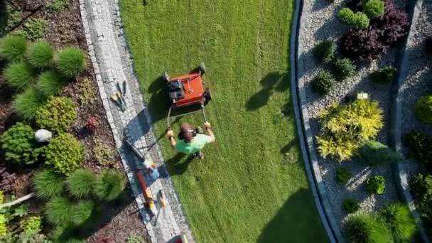 芝生のタッチを制御し 土壌圧縮を減らすための強力なガソリン芝生の航空機の仕事 裏庭の芝生のフィールドメンテナンス 40代の白人庭師 空中展望 — ストック動画
