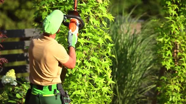 Caucasian Professional Gardener His 40S Electric Cordless Hedge Trimmer Action — Vídeo de Stock