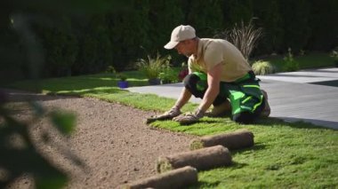 Caucasian Professional Garden and Landscaping Worker Installing Fresh Natural Grass Turfs From Rolls.