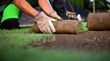 Residential Backyard Garden Doğal Çimen Kurulumu Kafkas Bahçe Düzenleyicisi Yakından Yapıldı. Peyzaj Sanayii.