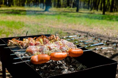 Barbekü doğada yemek.
