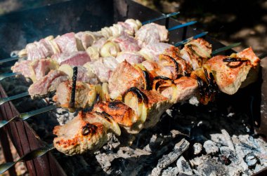 Barbekü doğada yemek.