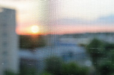 Penceredeki sivrisinek ağı