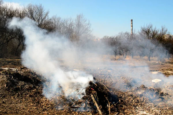 Fire Dry Forest — Stock Photo, Image