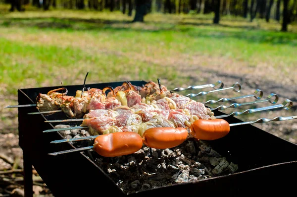 Főzés Grill Természetben — Stock Fotó