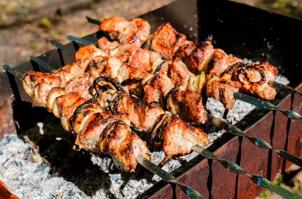 Koken Barbecue Natuur — Stockfoto