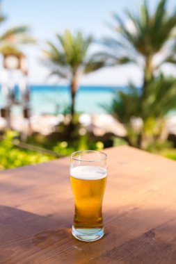 Biralar denizin arka planında.