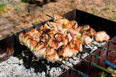 Barbekü doğada yemek.