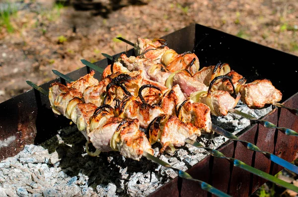 Cuisiner Barbecue Dans Nature — Photo