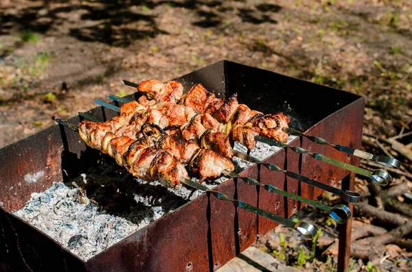 Főzés Grill Természetben — Stock Fotó