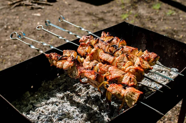 Cozinhar Churrasco Natureza — Fotografia de Stock