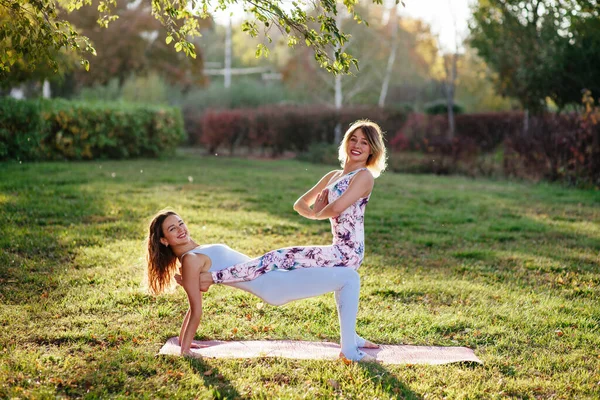Zwei Frauen Praktizieren Yoga Der Natur Führen Vrikshasana Übungen Durch — Stockfoto