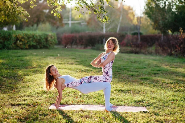 Két Gyakorolja Jóga Természetben Végre Vrikshasana Gyakorlat Póz — Stock Fotó