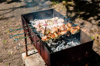 Barbekü doğada yemek.
