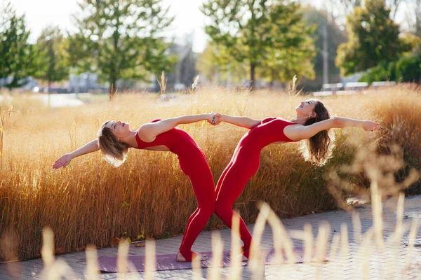 Dos Mujeres Practicando Yoga Parque — Foto de Stock