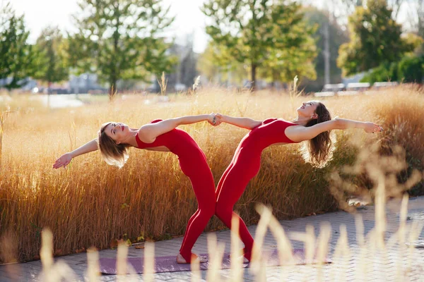 Дві Красиві Брюнетки Міцному Активному Одязі Виконує Пози Йоги Парку — стокове фото