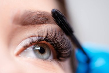 Uzun kirpikli kadın gözü. Kirpik Uzantısı