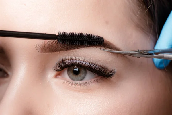 Master makeup corrects, and gives shape to pull out with forceps previously painted with henna eyebrows in a beauty salon. Professional care for face.