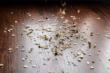 Masanın üzerine serpilir yulaf gevreği