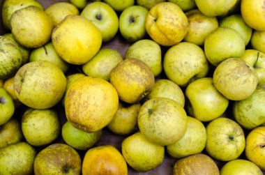 Piyasada satılan taze organik elma