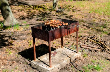 Doğada barbekü yapmak. Kamp ve piknik
