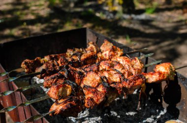 Doğada barbekü yapmak. Kamp ve piknik