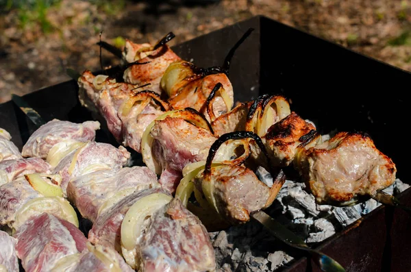 Côtelette Viande Porc Cuite Sur Barbecue Flamme Feu Arrière Plan — Photo