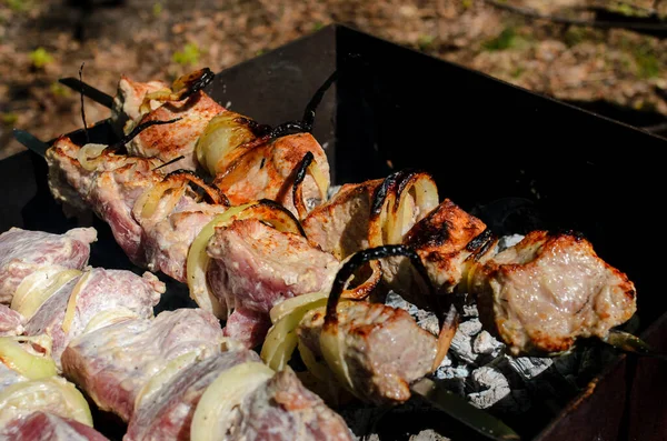 Chop Barbecue Grill 요리되었다 배경에서 수있는 — 스톡 사진