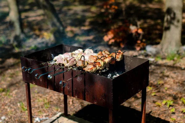 Izgarada pişmiş domuz pirzolası var. Arkaplanda Ateşin Ateşi
