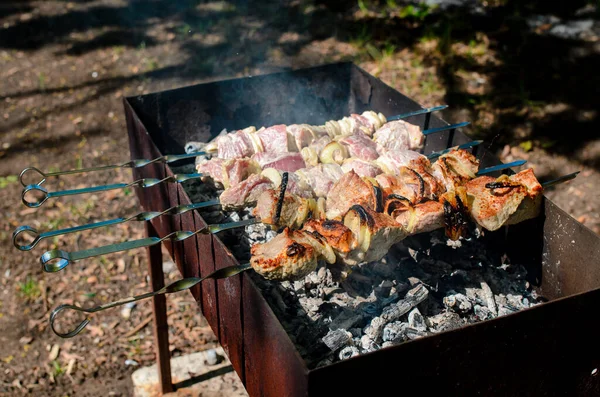 Braciola Carne Maiale Cotta Sul Barbecue Fiamma Fuoco Sullo Sfondo — Foto Stock