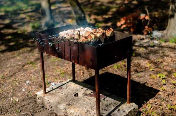 Chuleta Carne Cerdo Cocida Parrilla Barbacoa Llama Fuego Fondo — Foto de Stock