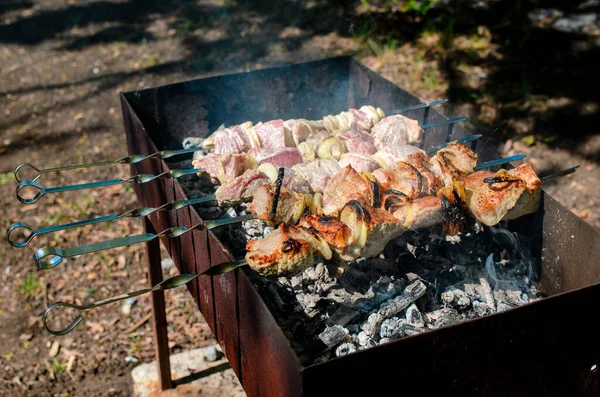 Chop Barbecue Grill 요리되었다 배경에서 수있는 — 스톡 사진